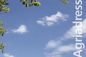 60539_8.jpg