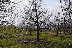 79795_8.jpg