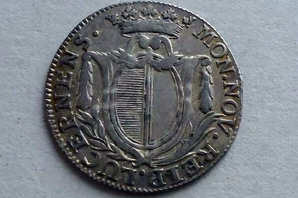 31981_8.jpg