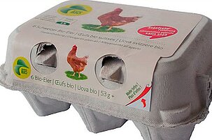 55544_8.jpg