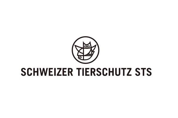 f301ec07-8207-85e2-72b9-2a952722f706-35261.jpeg