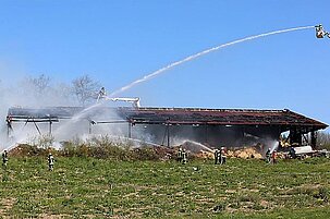 55079_8.jpg
