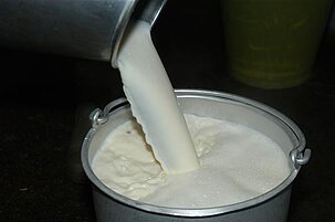 61307_8.jpg