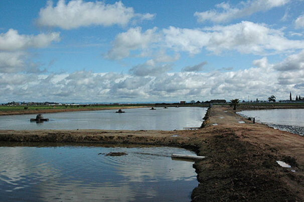 24758_8.jpg
