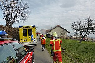 43940_8.jpg