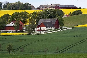 63293_8.jpg