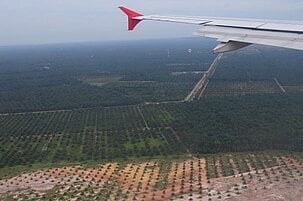 65975_8.jpg