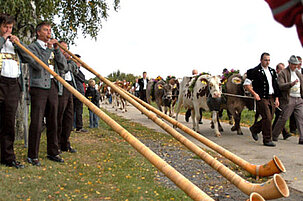 8408_8.jpg