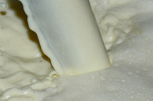 4705_8.jpg