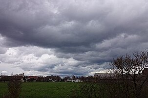 47098_8.jpg