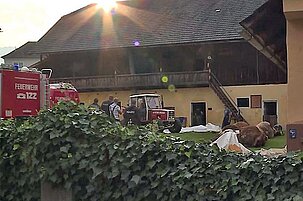 84207_8.jpg