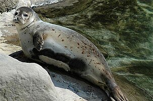 67318_8.jpg