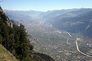 2705_8.jpg
