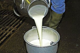 73410_8.jpg