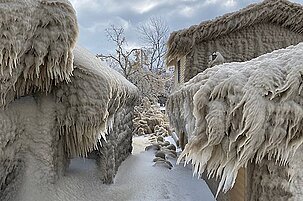 90067_8-1.jpg