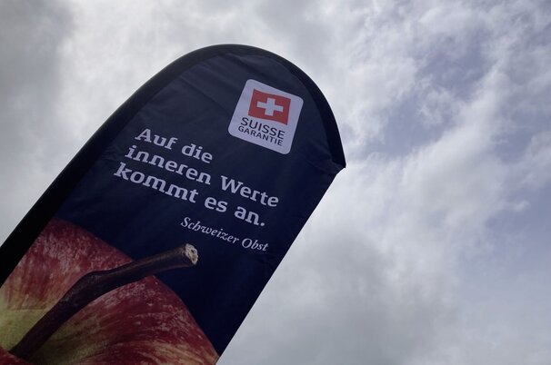 125030d7-7507-cf9c-fca7-19cd79777257-102673.jpeg