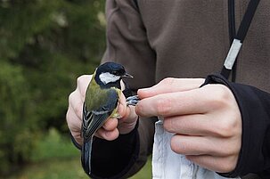 58835_8.jpg