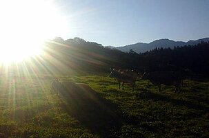 63791_8.jpg