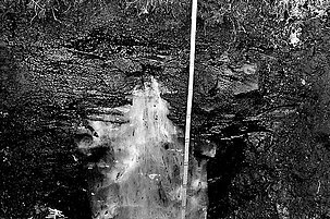 32181_8.jpg