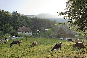 41318_8.jpg