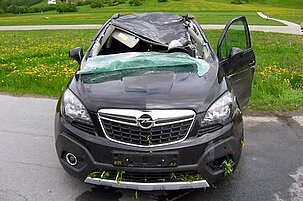 55475_8.jpg