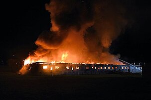 88418_8.jpg