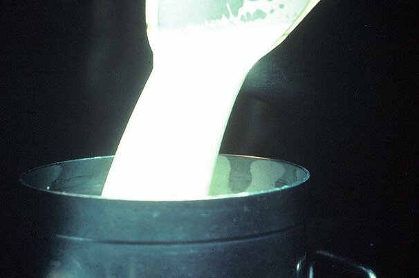 31792_8.jpg