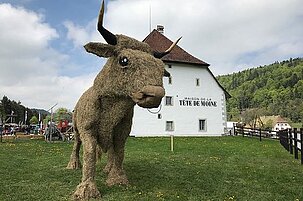 73214_8.jpg