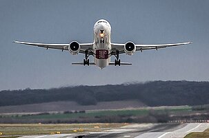 83364_8.jpg