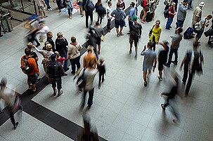 50785_8.jpg