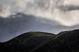 954cf6b7-8049-1daa-73ad-e1ff9f87d791-63155-scaled.jpeg