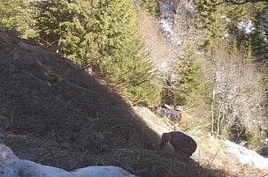 79909_8.jpg