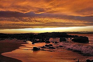 30772_8.jpg