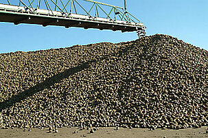 6151_8.jpg