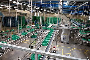 80556_8.jpg