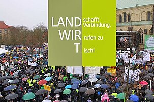 84952_8.jpg