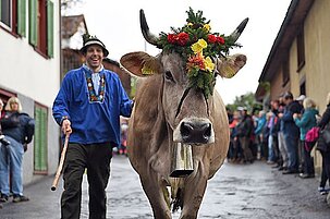92670_8-1.jpg