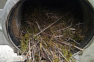 40684_8.jpg