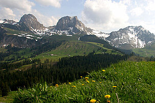 2546_8.jpg