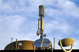 36804_8.jpg