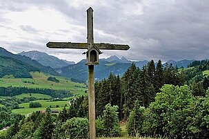40535_8.jpg