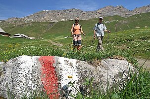 41795_8.jpg