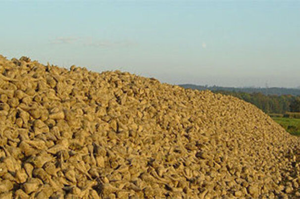 5029_8.jpg
