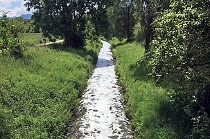 55983_8.jpg