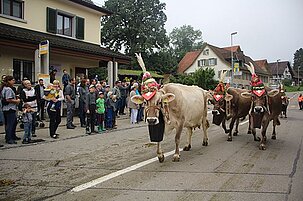 84589_8.jpg