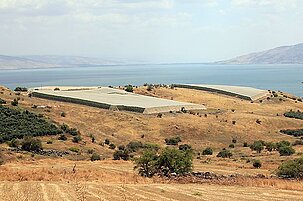90072_8.jpg