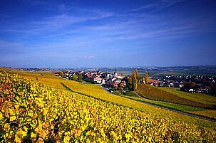 32063_8.jpg