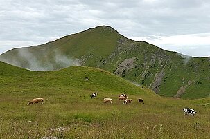 50150_8.jpg