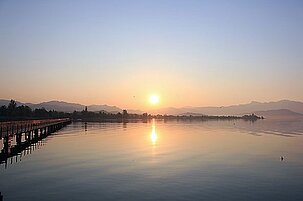 50266_8.jpg
