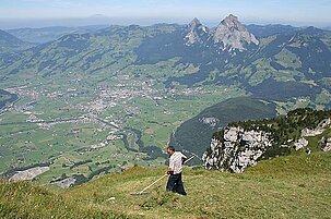 57616_8.jpg